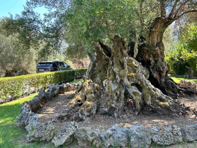 Crete mountain landscape - Jeep Safari White Mountains tour